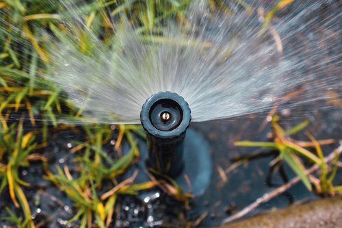 iStock-1077969366
