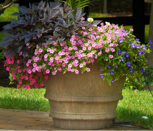 Planter with Annuals 1.jpg