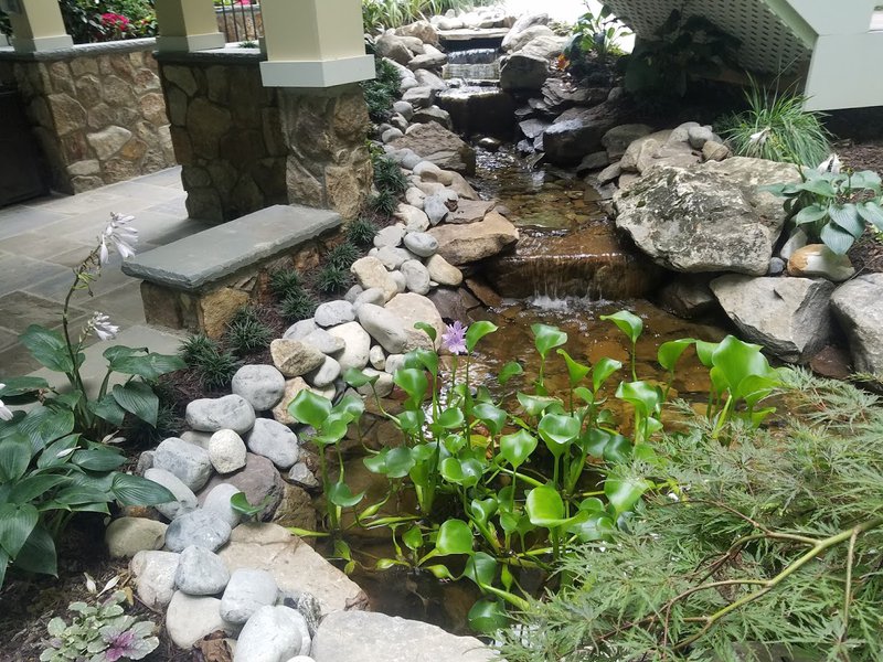 natural pond feature.jpg