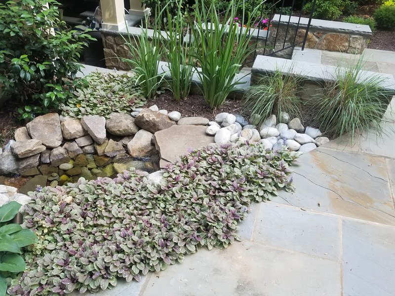Natural Water Feature