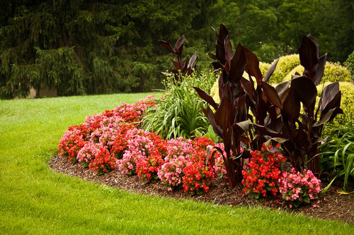 rossenlandscape6.13-23.jpg