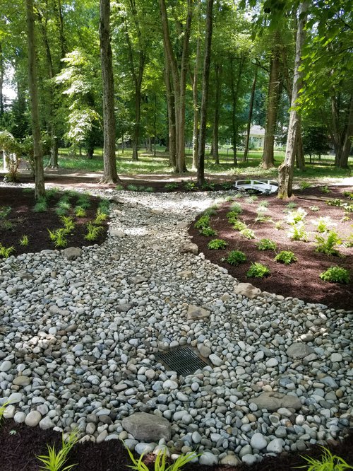 Dry creek.jpg