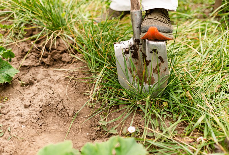 close-up-person-digging-garden