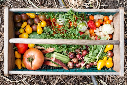 vegetables