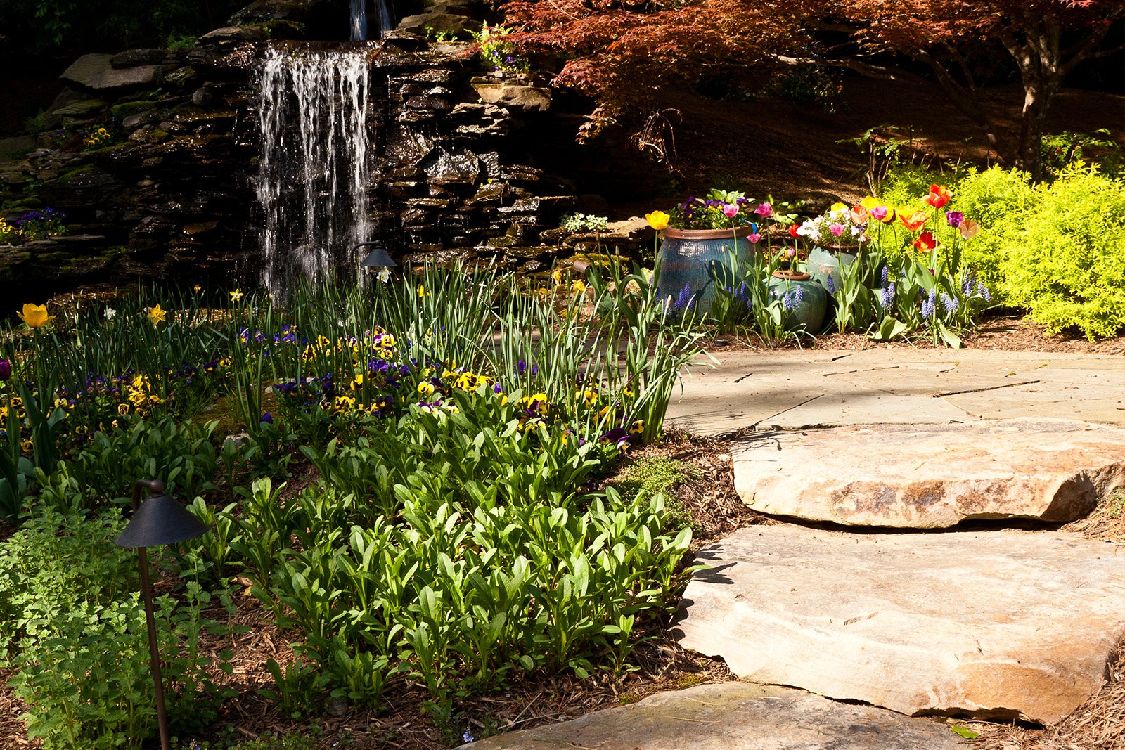 Plants native to USDA Zone 7b along a flagstone path leading to a waterfall and koi pond.