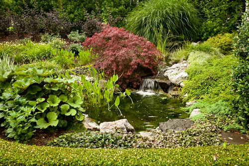 Cicconi - Waterfall planting Maintenance.jpg