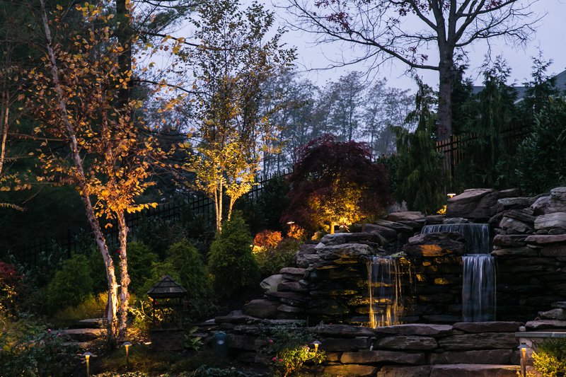 Jimenez pond lighting.jpg