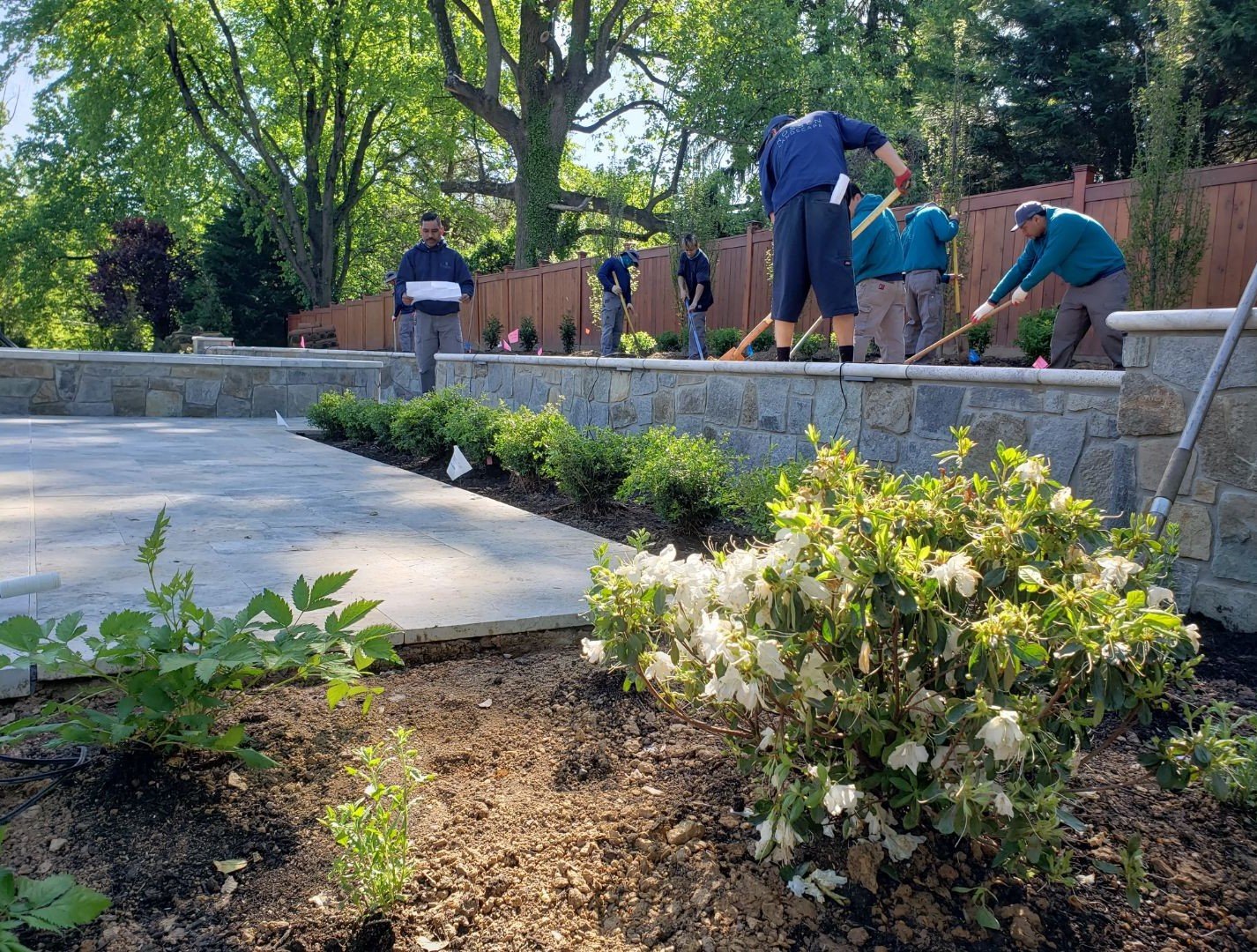 Cultivating Beauty with Garden Maintenance Services